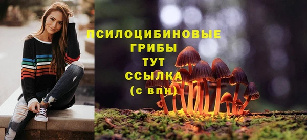 спиды Магас