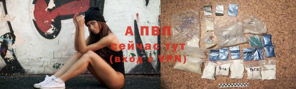 амф Абаза